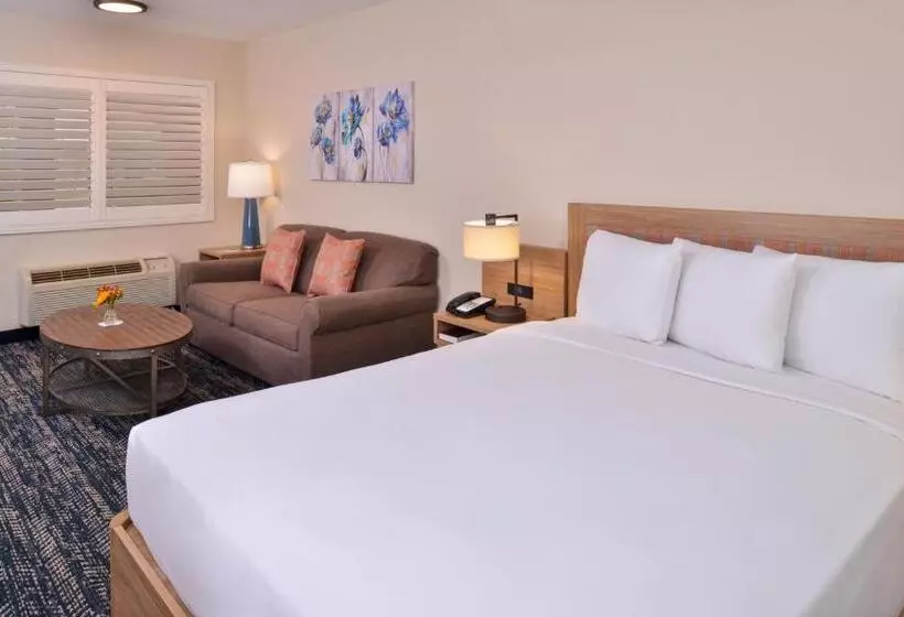 キングサイズベッドのスタンダードルーム, La Fuente Inn & Suites