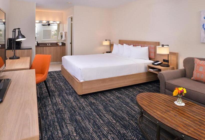 غرفة قياسية سرير كينج, La Fuente Inn & Suites