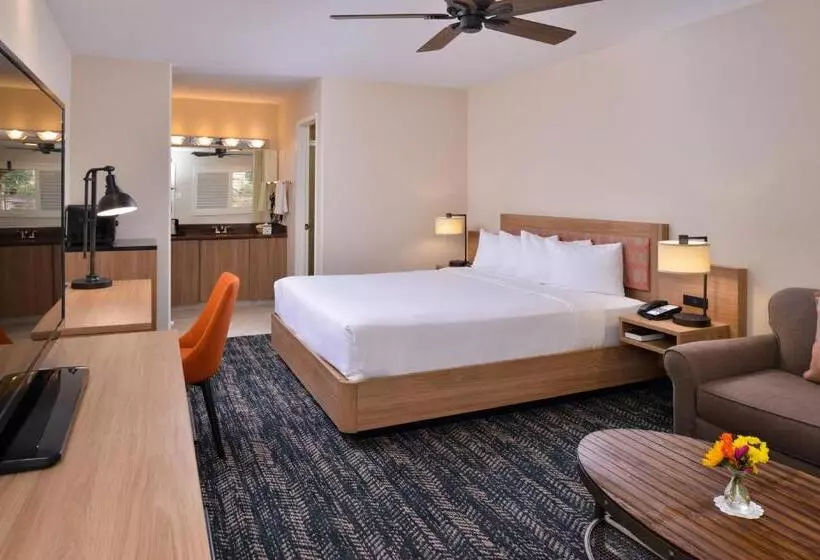 キングサイズベッドのスーペリアルーム, La Fuente Inn & Suites