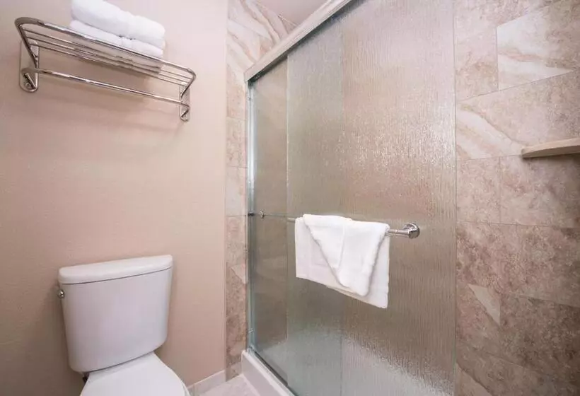 スーペリアールーム, La Fuente Inn & Suites