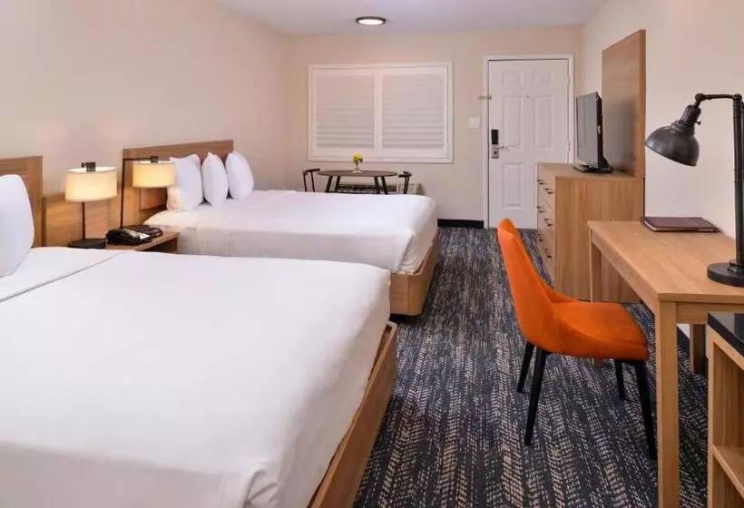スーペリアールーム, La Fuente Inn & Suites