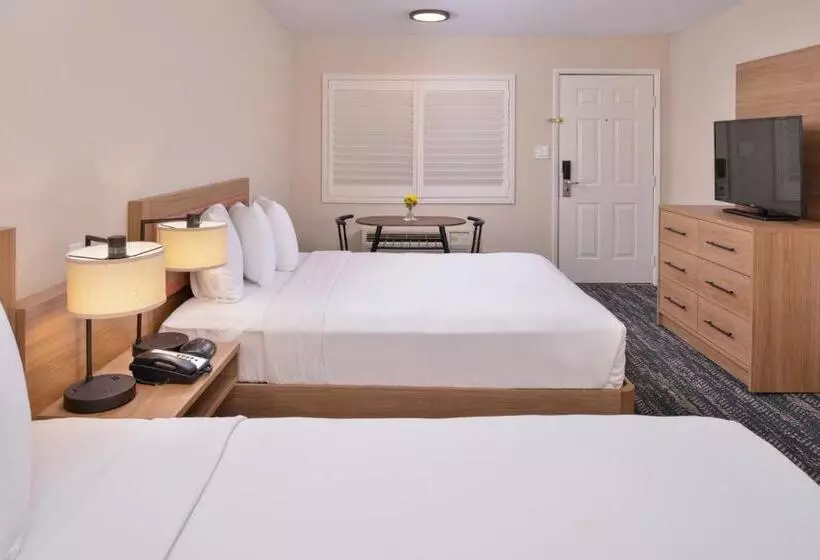 スーペリアールーム, La Fuente Inn & Suites