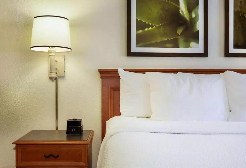 身障者適用キングサイズベッドルーム, La Quinta Inn By Wyndham Austin Capitol / Downtown