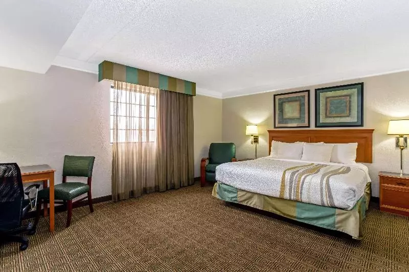 キングサイズベッドのデラックスルーム, La Quinta Inn By Wyndham Denver Northglenn
