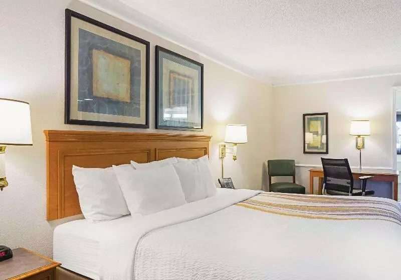 キングサイズベッドのデラックスルーム, La Quinta Inn By Wyndham Denver Northglenn