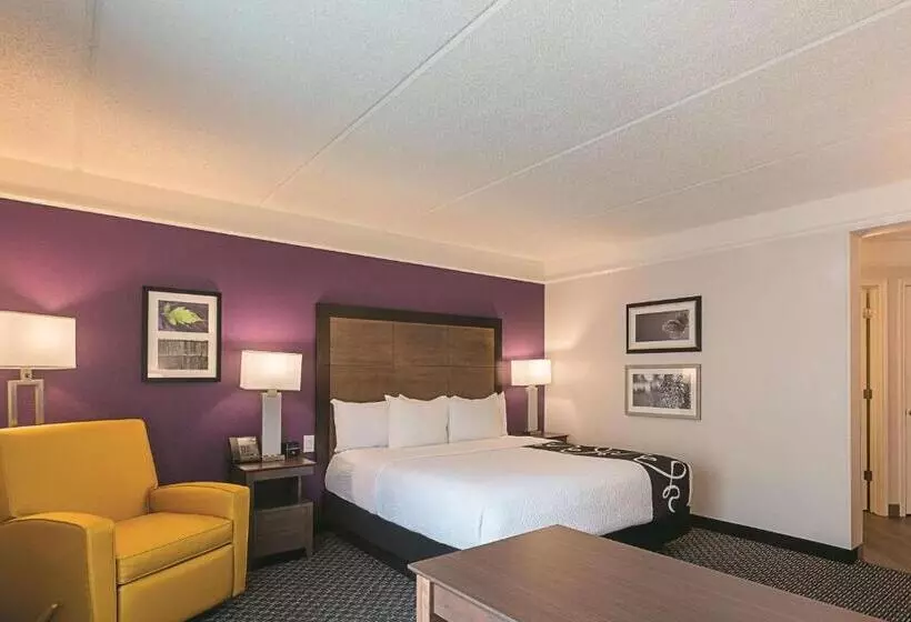 キングサイズベッドのスタンダードルーム, La Quinta By Wyndham Atlanta Alpharetta