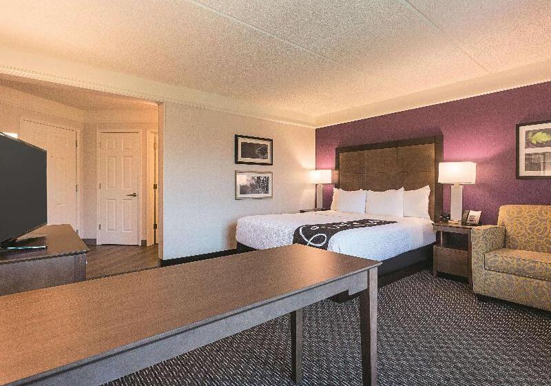 غرفة ديلوكس سرير كينج, La Quinta By Wyndham Atlanta Alpharetta