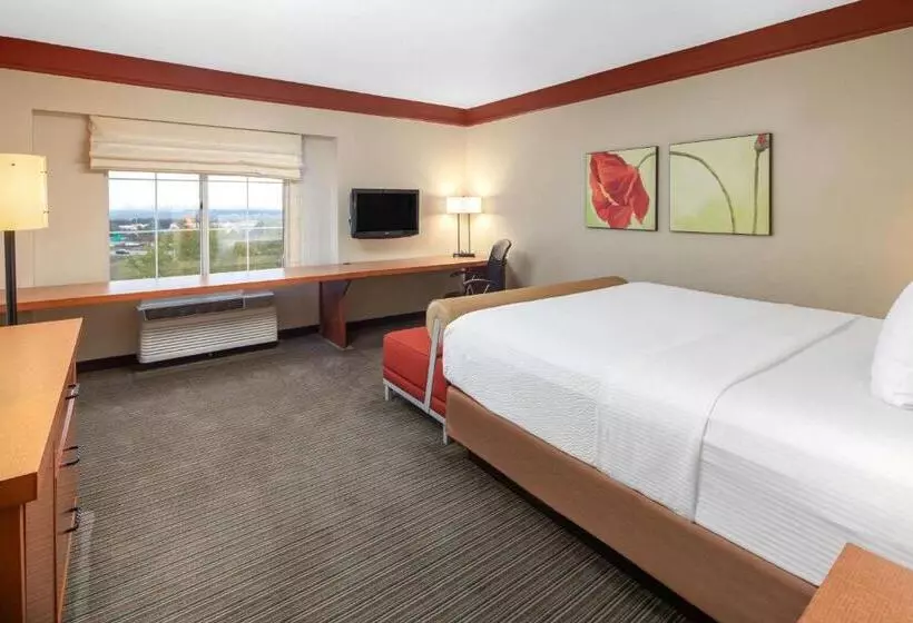 キングサイズベッドのデラックスルーム, La Quinta By Wyndham Atlanta Ballpark/galleria