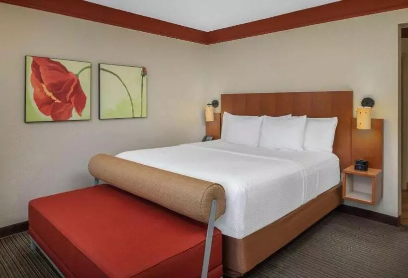 身障者適用キングサイズベッドルーム, La Quinta By Wyndham Atlanta Ballpark/galleria