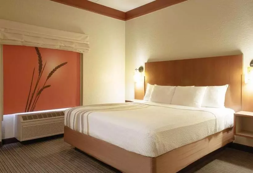 キングサイズベッドのスイートルーム, La Quinta By Wyndham Atlanta Ballpark/galleria