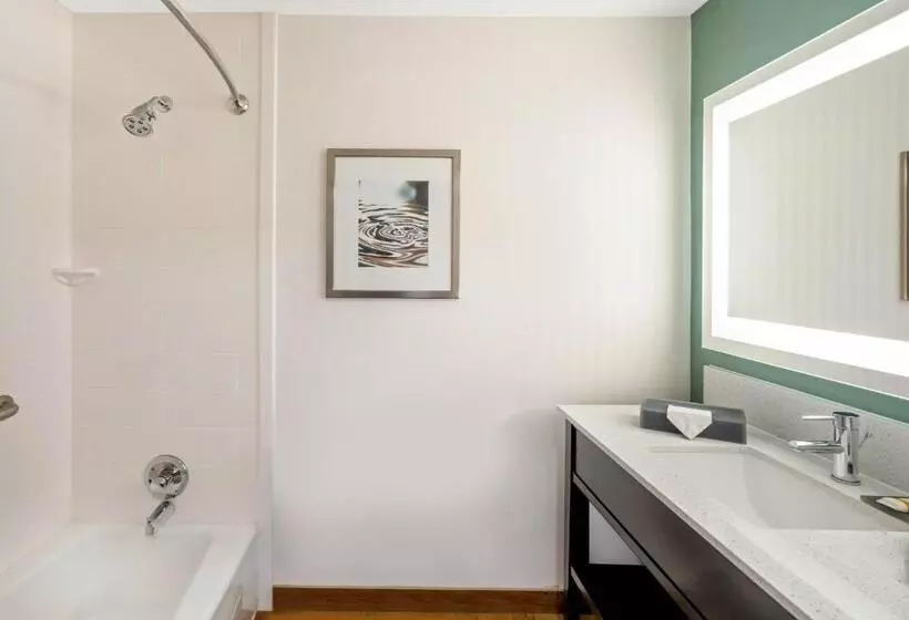デラックスルーム, La Quinta By Wyndham Columbus Ms