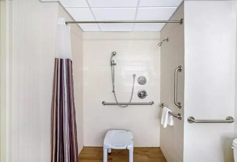 身障者適用スタンダードルーム, La Quinta By Wyndham Columbus Ms