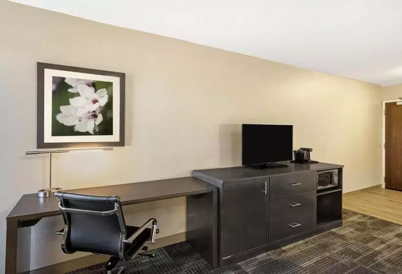 身障者適用スタンダードルーム, La Quinta By Wyndham Columbus Ms