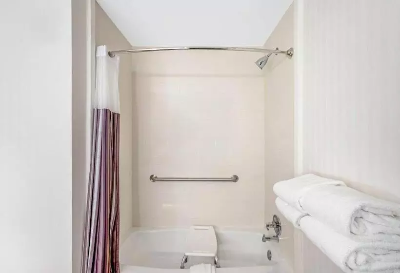 身障者適用キングサイズベッドルーム, La Quinta By Wyndham Columbus Ms