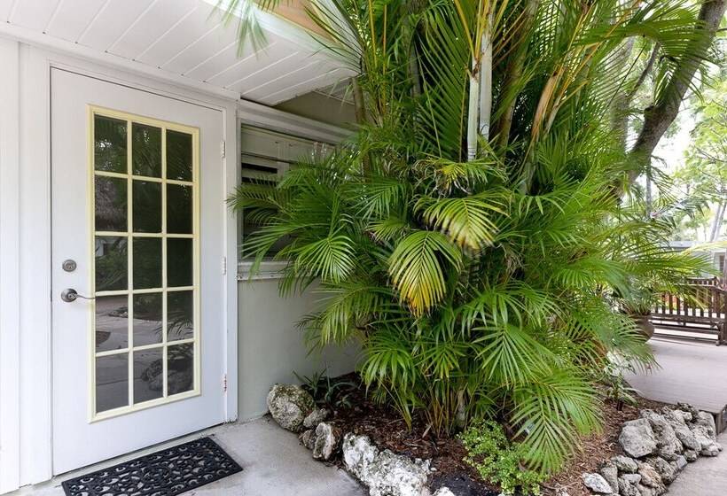 Standart Oda, Kona Kai Resort And Gallery