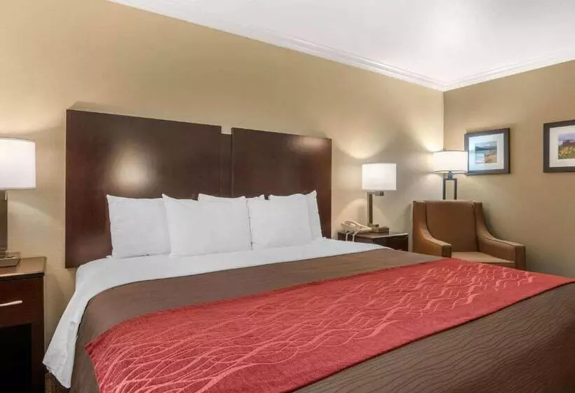 キングサイズベッドのスタンダードルーム, Comfort Inn Columbia Gorge