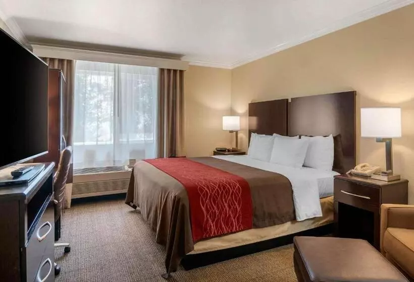 キングサイズベッドのスタンダードルーム, Comfort Inn Columbia Gorge