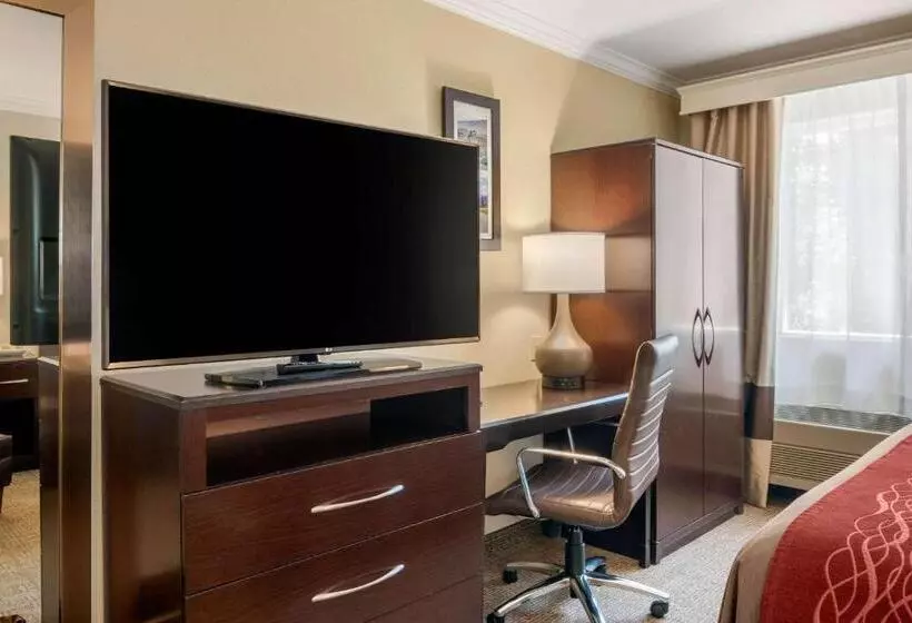 キングサイズベッドのスタンダードルーム, Comfort Inn Columbia Gorge