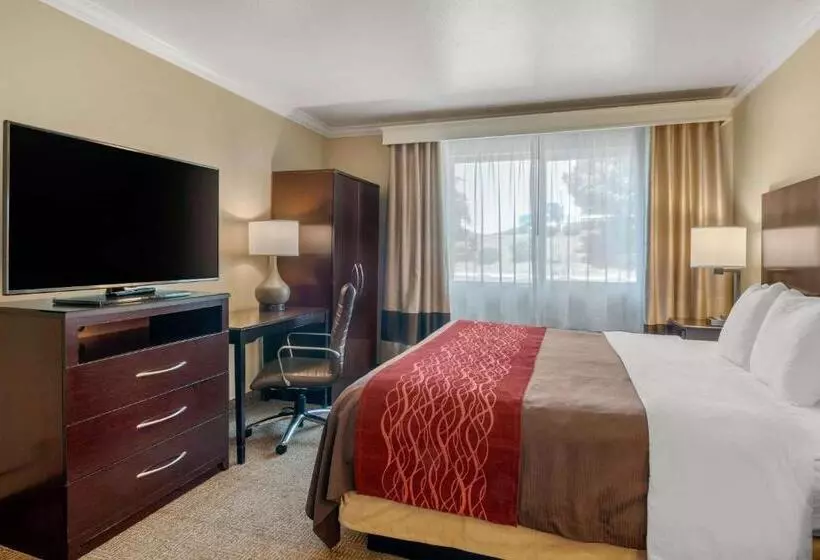 スタンダードルーム, Comfort Inn Columbia Gorge