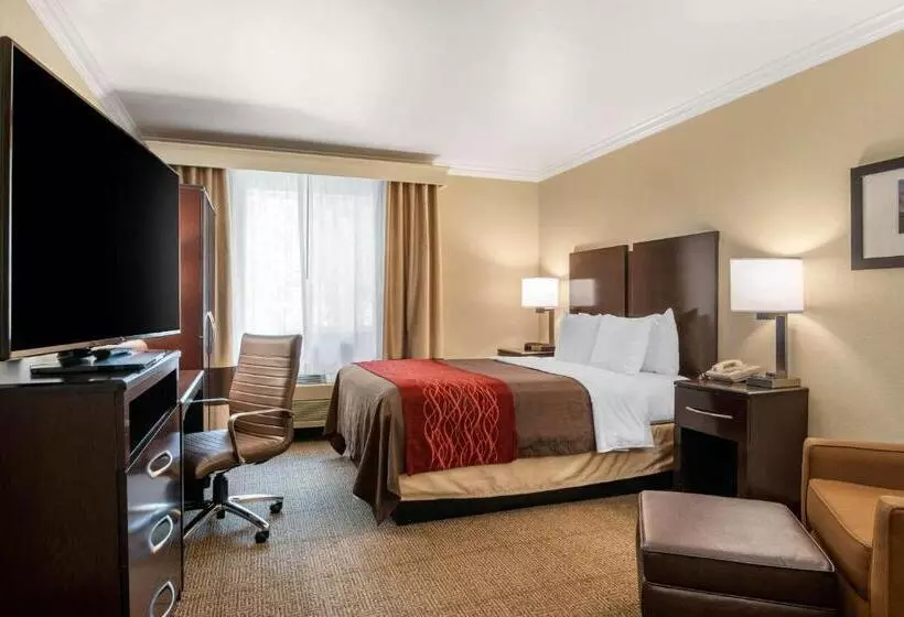 スタンダードルーム, Comfort Inn Columbia Gorge