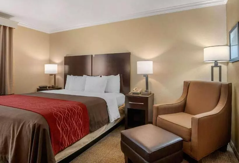 スタンダードルーム, Comfort Inn Columbia Gorge