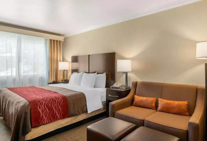 キングサイズベッドのスイートルーム, Comfort Inn Columbia Gorge