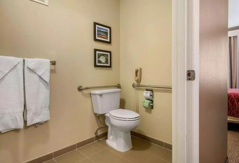 身障者適用スタンダードルーム, Comfort Inn Columbia Gorge