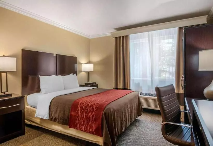 身障者適用スタンダードルーム, Comfort Inn Columbia Gorge