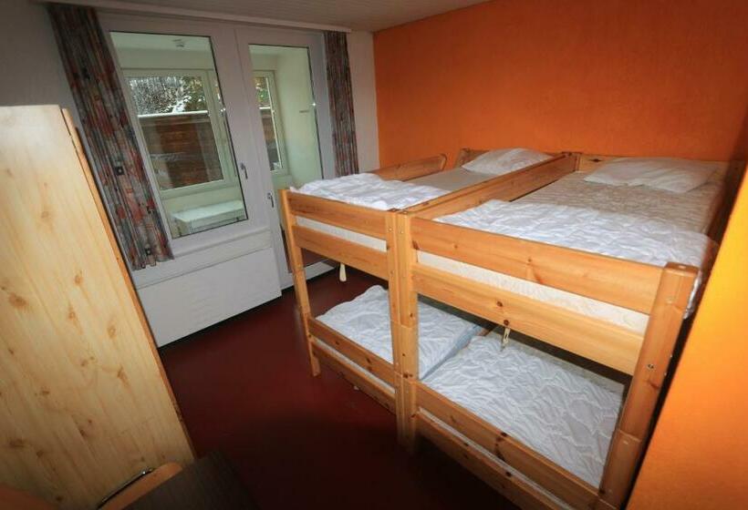 חדר סטנדרט לארבעה, Juhui Arosa