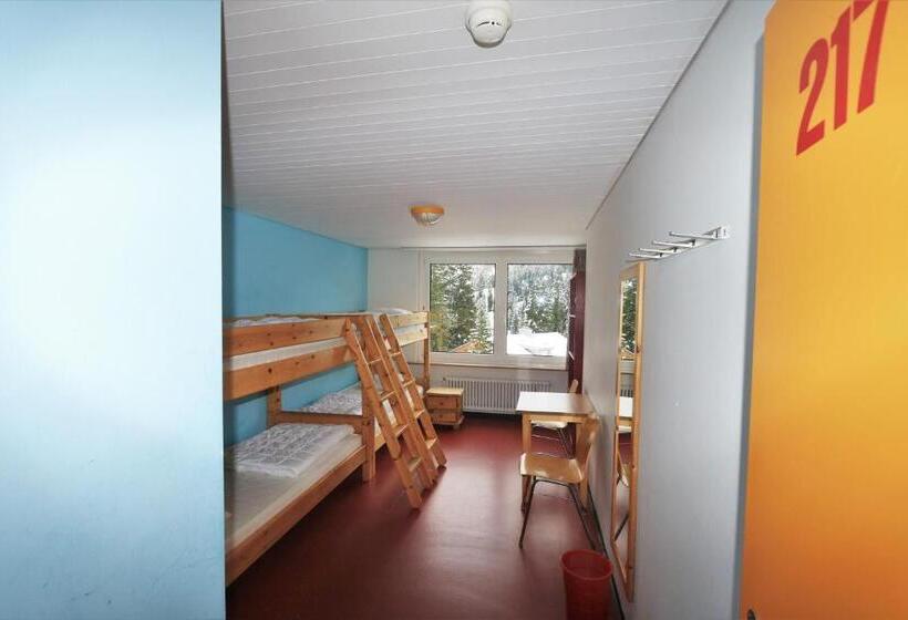 חדר סטנדרטי לארבעה עם חדר אמבטיה משותף, Juhui Arosa