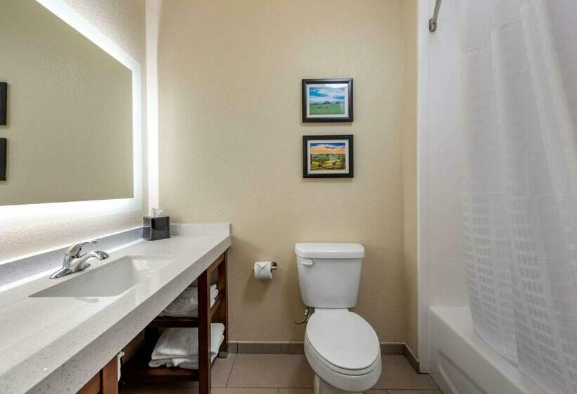 Люкс Адаптированный для Инвалидов, Comfort Suites