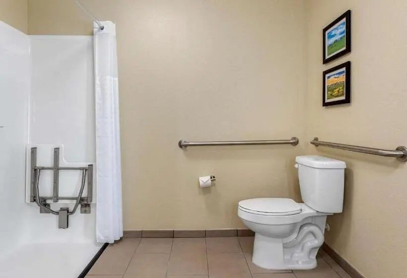 身障者適用スイートルーム, Comfort Suites