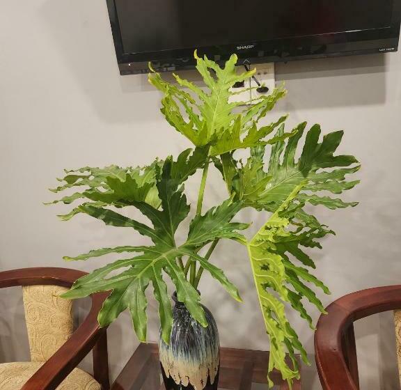 اتاق استاندارد سه تخته با چشم‌انداز استخر, Te Amo