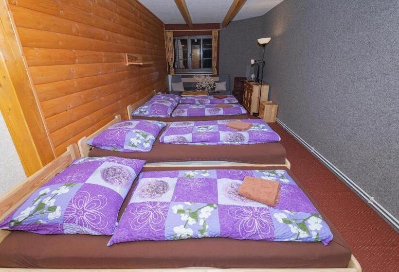 패밀리 룸, Penzion Harry Na Sjezdovce Krkonoše