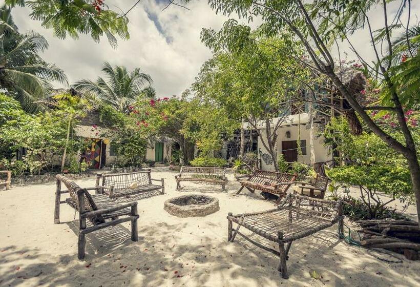 スタンダードトリプルルーム, Mustapha' S Place