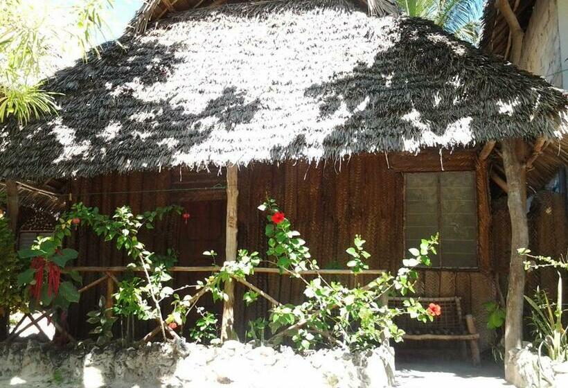 スタンダード４人部屋, Mustapha' S Place