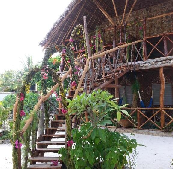 Номер Стандарт, Mustapha' S Place