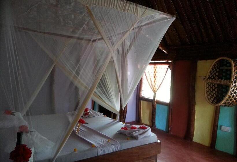 スタンダードルーム, Mustapha' S Place