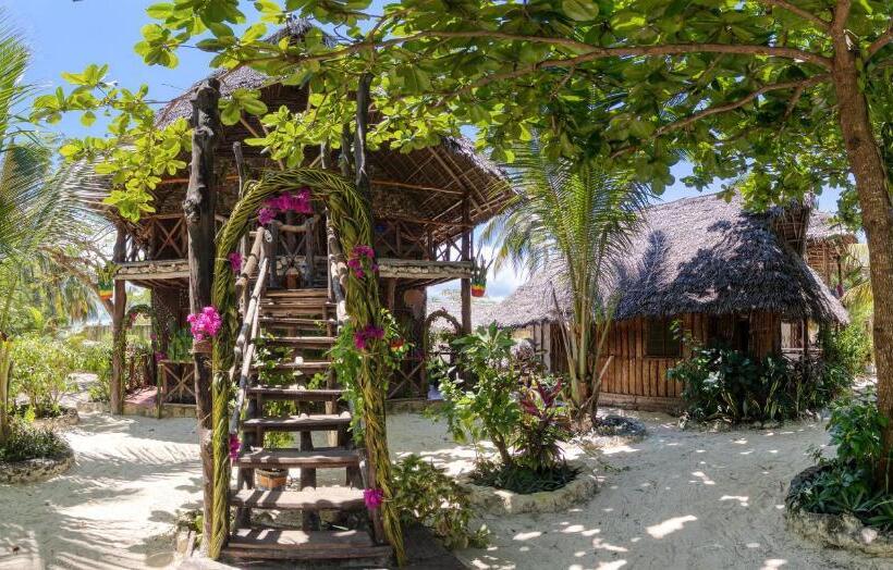 スタンダードルーム, Mustapha' S Place