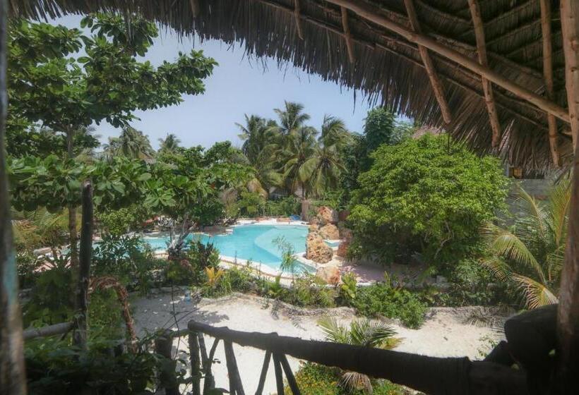 スタンダードルーム, Mustapha' S Place