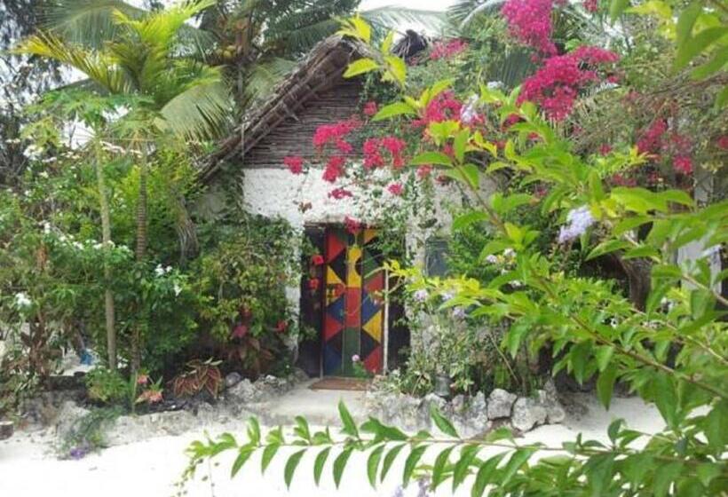 エコノミートリプルルーム, Mustapha' S Place