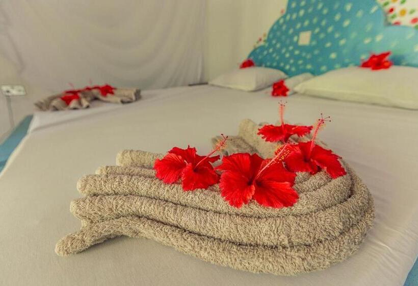 Номер Стандарт с Террасой, Mustapha' S Place