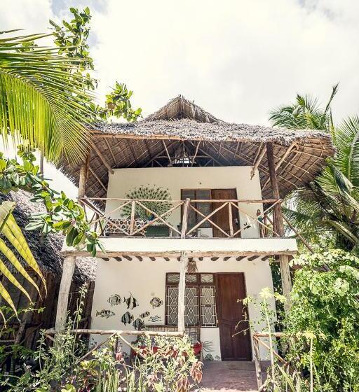 Номер Стандарт с Террасой, Mustapha' S Place