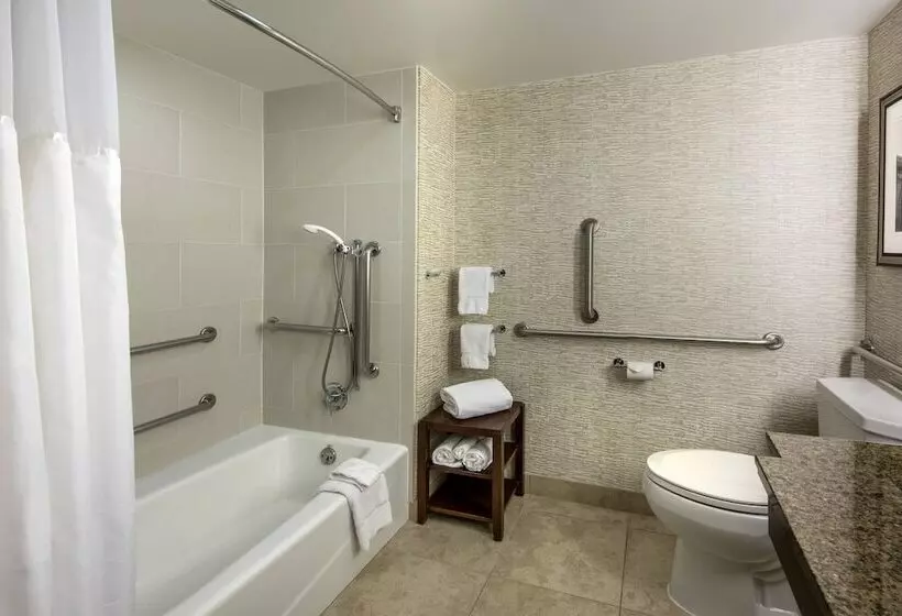 ２ダブルベッドのスタンダードルーム, Denver Airport Marriott At Gateway Park