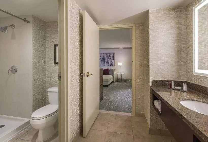 ２ダブルベッドのスタンダードルーム, Denver Airport Marriott At Gateway Park