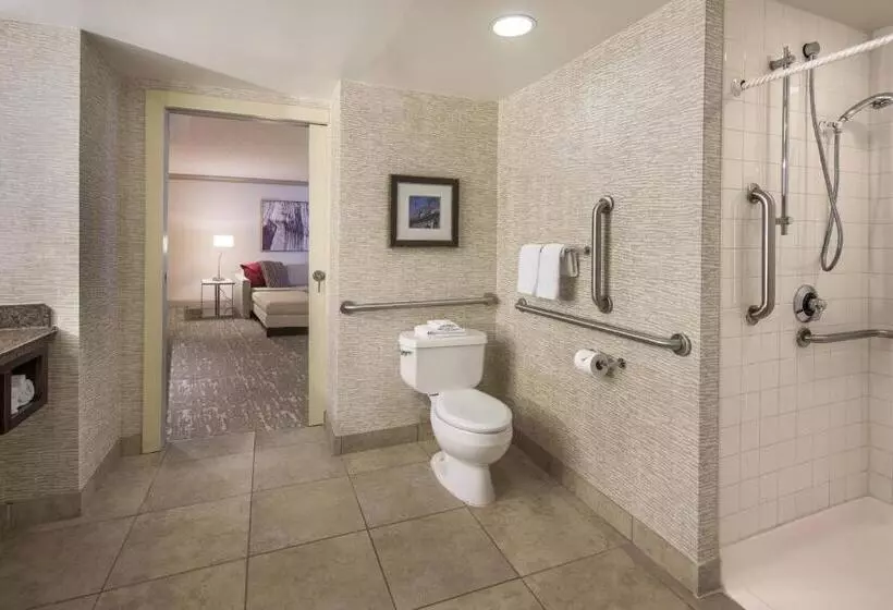 キングサイズベッドのデラックススイート, Denver Airport Marriott At Gateway Park
