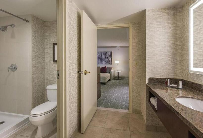 带大床的复式套间, Denver Airport Marriott At Gateway Park