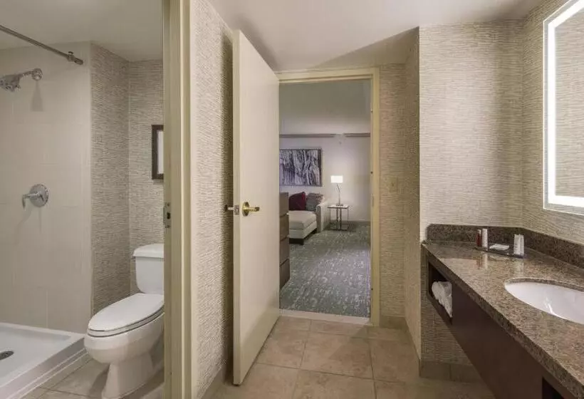 キングサイズベッドのデラックススイート, Denver Airport Marriott At Gateway Park