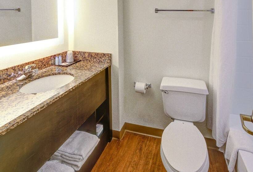 سوییت, Leconte Hotel & Convention Center, Ascend Hotel Collection