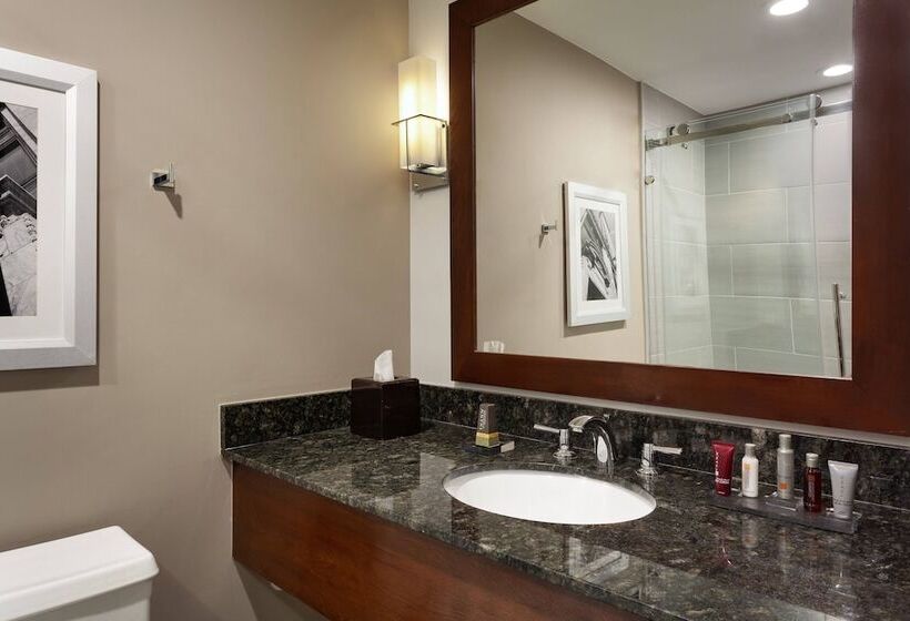 غرفه قياسيه سريرين مزدوجين, Doubletree By Hilton Minneapolis Airport, Mn